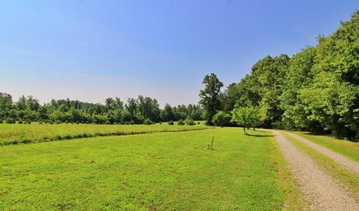 Photo #8 of 1967 Cub Creek Road, Appomattox, VA 70.8 acres