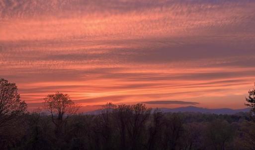 Photo #86 of 439 Wiggington, Lynchburg, VA 2.2 acres