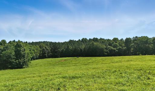 Photo #56 of 1433 Piney Mountain Road, Appomattox, VA 21.8 acres