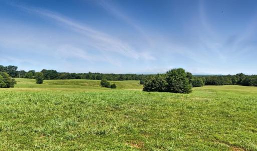 Photo #58 of 1433 Piney Mountain Road, Appomattox, VA 21.8 acres