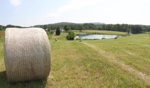 Photo #38 of 1672 Buffalo Run, Thaxton, VA 143.3 acres