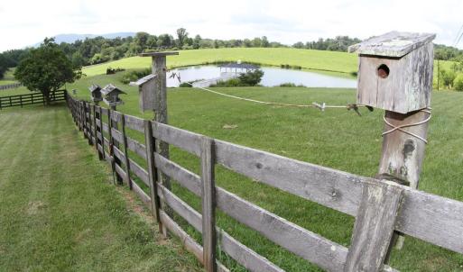 Photo #83 of 1672 Buffalo Run, Thaxton, VA 143.3 acres