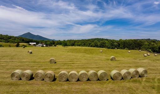 Photo #31 of 1672 Buffalo Run, Thaxton, VA 143.3 acres