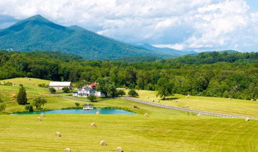 Photo #35 of 1672 Buffalo Run, Thaxton, VA 143.3 acres