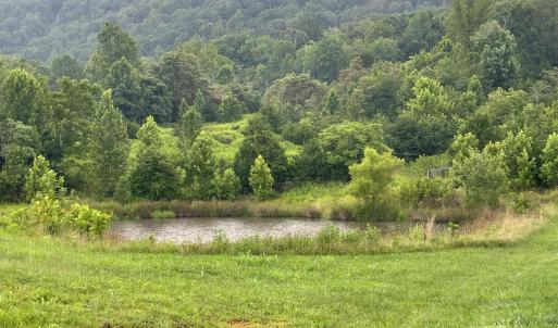 Photo #65 of 1672 Buffalo Run, Thaxton, VA 143.3 acres