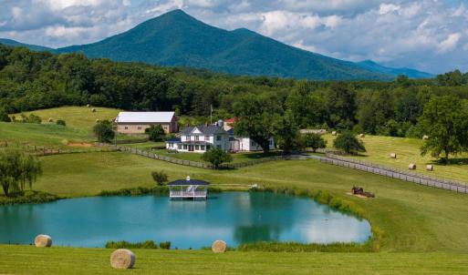Photo #1 of 1672 Buffalo Run, Thaxton, VA 143.3 acres