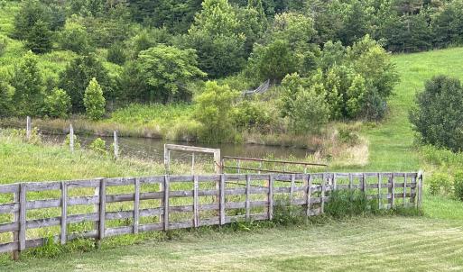 Photo #57 of 1672 Buffalo Run, Thaxton, VA 143.3 acres