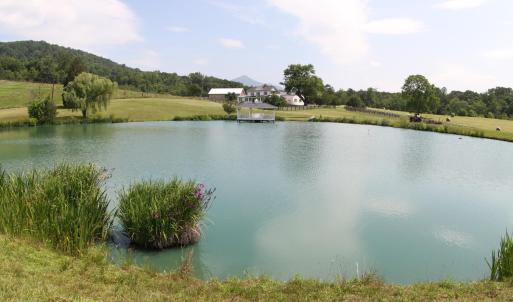 Photo #39 of 1672 Buffalo Run, Thaxton, VA 143.3 acres