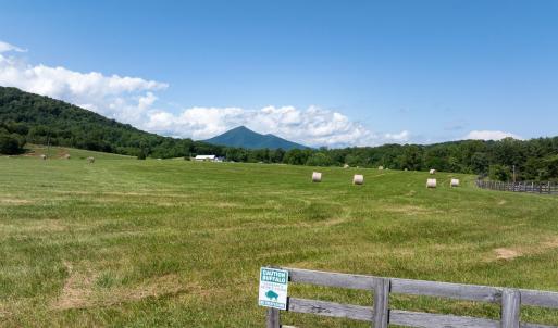Photo #32 of 1672 Buffalo Run, Thaxton, VA 143.3 acres