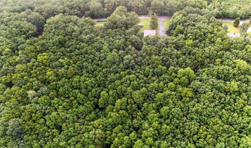Photo #59 of 199 Braxton Ridge Road, Amherst, VA 3.8 acres