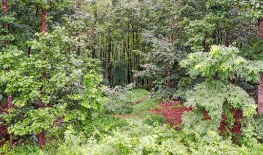 Photo #50 of 199 Braxton Ridge Road, Amherst, VA 3.8 acres