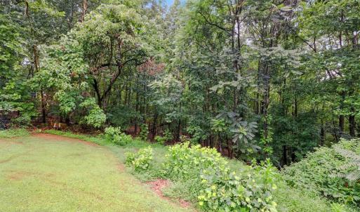 Photo #44 of 199 Braxton Ridge Road, Amherst, VA 3.8 acres