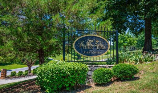 Photo #89 of 316 Longhill Road, Goode, VA 2.5 acres