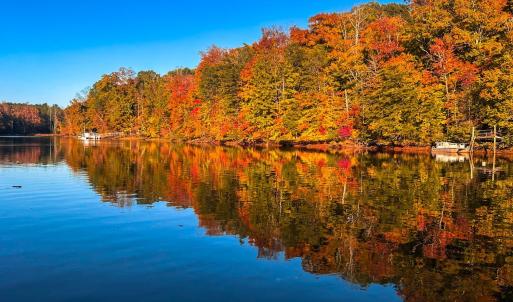 Fall on the water