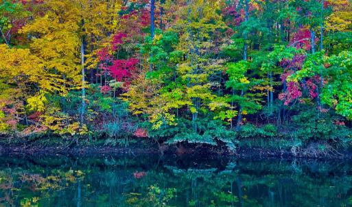Fall on Leesville Lake