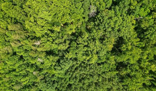 Photo #44 of 1997 Rock Church Road, Pamplin, VA 11.0 acres