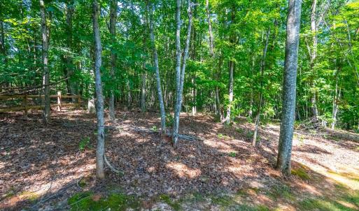 Photo #36 of 851 Wildway, Appomattox, VA 1.3 acres
