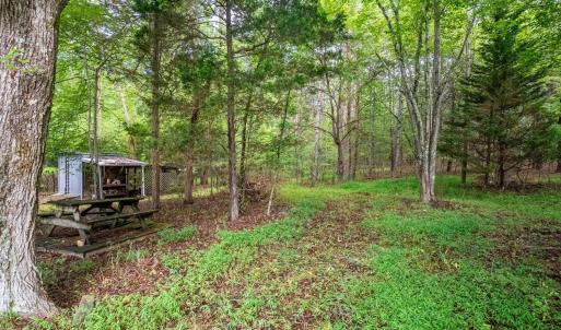 Photo #50 of 3487 Marysville Road, Altavista, VA 20.3 acres