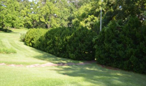 Photo #7 of 10778 Rockfish River Road, Shipman, VA 2.2 acres