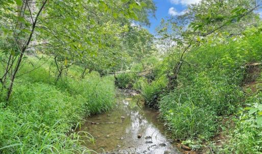 Photo #54 of 1224 Rendezvous Lane, Bedford, VA 0.4 acres