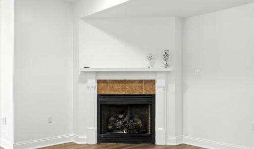 Photo #65 of 1105 Brandy Springs Court, Forest, VA 1.4 acres