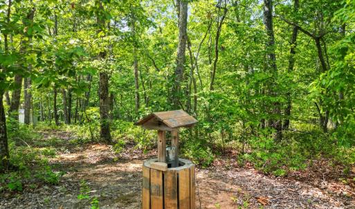 Photo #58 of 1720 Gallows Road, Gretna, VA 14.6 acres