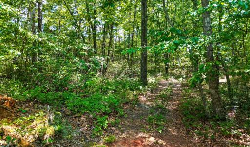 Photo #72 of 1720 Gallows Road, Gretna, VA 14.6 acres