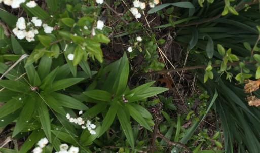 Photo #85 of 1213 Toms View Drive, Bedford, VA 5.7 acres