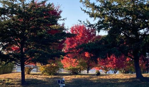 Photo #86 of 1213 Toms View Drive, Bedford, VA 5.7 acres