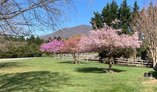 Photo #88 of 1213 Toms View Drive, Bedford, VA 5.7 acres