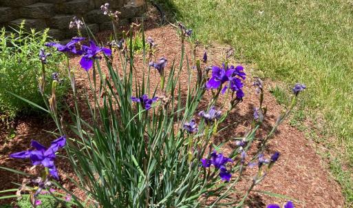 Photo #93 of 1213 Toms View Drive, Bedford, VA 5.7 acres