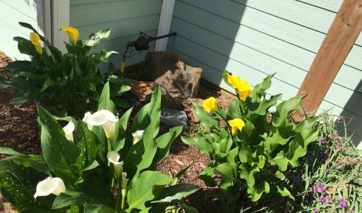 Photo #92 of 1213 Toms View Drive, Bedford, VA 5.7 acres