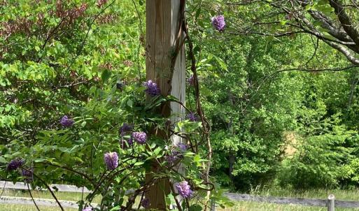 Photo #94 of 1213 Toms View Drive, Bedford, VA 5.7 acres