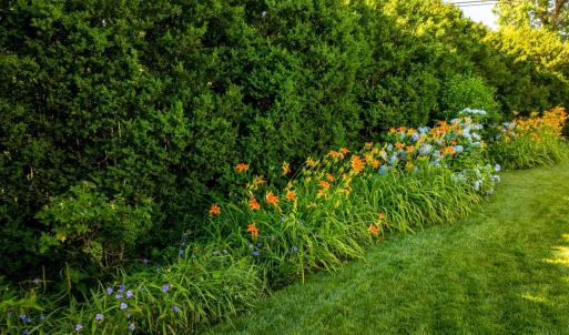 Photo #67 of 3889 Peakland Place, Lynchburg, VA 0.4 acres