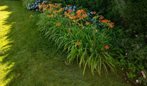 Photo #68 of 3889 Peakland Place, Lynchburg, VA 0.4 acres