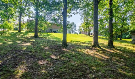 Photo #46 of 1604 Avondale Drive, Altavista, VA 0.5 acres