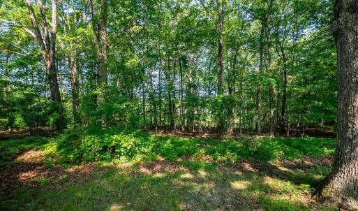 Photo #47 of 1604 Avondale Drive, Altavista, VA 0.5 acres
