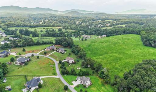 Photo #61 of 1099 Toni Lane, Forest, VA 2.2 acres