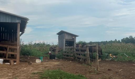 Photo #21 of 5253 Pigeon Run Road, Gladys, VA 15.0 acres