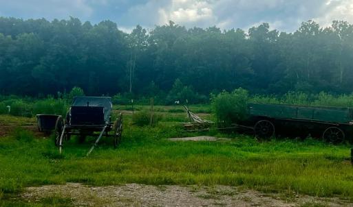 Photo #32 of 5253 Pigeon Run Road, Gladys, VA 15.0 acres