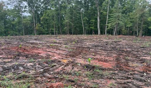 Photo #4 of 21 Saunders Point Road, Huddleston, VA 0.5 acres