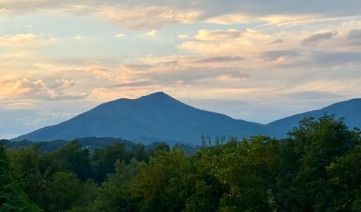 Photo #19 of 1510 Nichols Road, Bedford, VA 1.0 acres