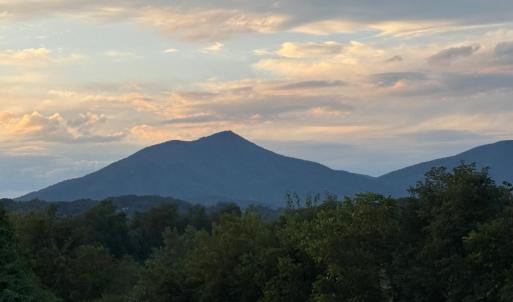 Photo #17 of 1510 Nichols Road, Bedford, VA 1.0 acres