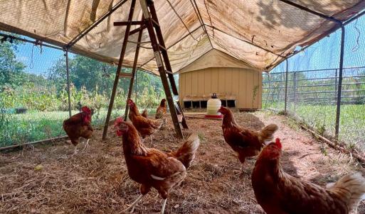 Photo #35 of 4526 PIGEON RUN Road, Gladys, VA 4.0 acres