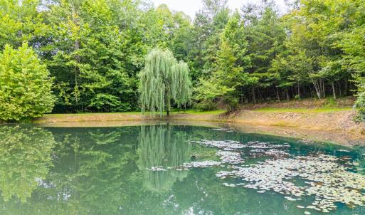 Photo #63 of 175 Tracie Drive, Altavista, VA 19.9 acres