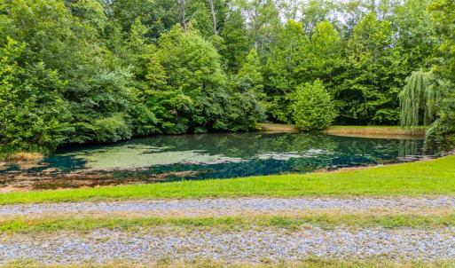 Photo #62 of 175 Tracie Drive, Altavista, VA 19.9 acres