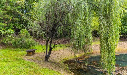 Photo #64 of 175 Tracie Drive, Altavista, VA 19.9 acres