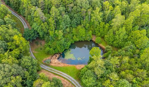 Photo #69 of 175 Tracie Drive, Altavista, VA 19.9 acres