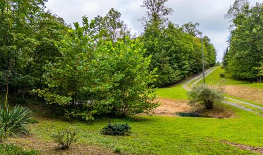 Photo #66 of 175 Tracie Drive, Altavista, VA 19.9 acres