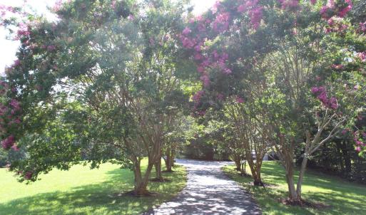 Photo #74 of 19322 Wyatts Way, Evington, VA 21.7 acres
